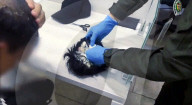Drugs smuggler had cocaine hidden under a toupee