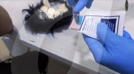 Drugs smuggler had cocaine hidden under a toupee