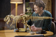 Lego Jurassic Park T.Rex fossil skeleton kit