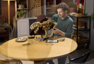 Lego Jurassic Park T.Rex fossil skeleton kit