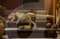 Lego Jurassic Park T.Rex fossil skeleton kit