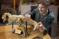 Lego propose de reconstituer le squelette d'un T Rex