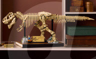 Lego propose de reconstituer le squelette d'un T Rex