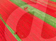 Red cloth laid out by Sabina Akter