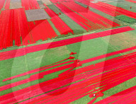 Red cloth laid out by Sabina Akter