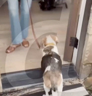 Meghan Markle behind the scenes look at new Netflix show