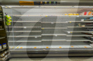 Bird flu drives US egg shortage 