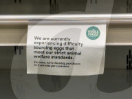 Bird flu drives US egg shortage 