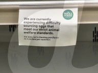 Bird flu drives US egg shortage 