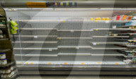 Bird flu drives US egg shortage 