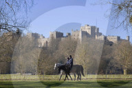 Andrew bei einem Ausritt im Park von Schloss Windsor
