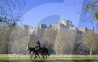 Andrew bei einem Ausritt im Park von Schloss Windsor