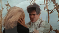 LMKMEDIA_BONNIE_AND_CLYDE_LMK110-35