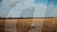 LMKMEDIA_BONNIE_AND_CLYDE_LMK110-35