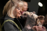 Crufts Dog Show 2025 - Day Two