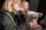Crufts Dog Show 2025 - Day Two