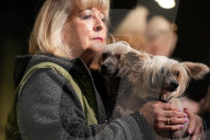 Crufts Dog Show 2025 - Day Two