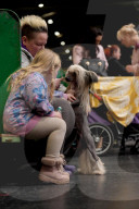 Crufts Dog Show 2025 - Day Two