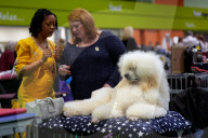 Crufts Dog Show 2025 - Day Two