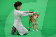 Crufts Dog Show 2025 - Day Two