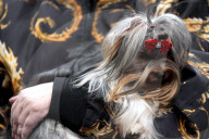 Crufts Dog Show 2025 - Day Two