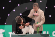 Crufts Dog Show 2025