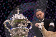 Crufts Dog Show 2025