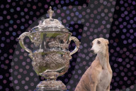 Crufts Dog Show 2025