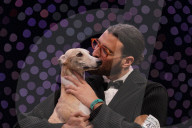Crufts Dog Show 2025