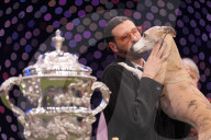 Crufts Dog Show 2025