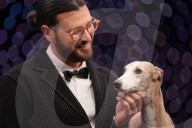 Crufts Dog Show 2025