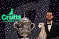 Crufts Dog Show 2025
