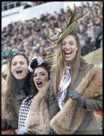 ROYALS - Queen Camilla on day two of the Cheltenham Festival