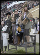 ROYALS - Queen Camilla on day two of the Cheltenham Festival