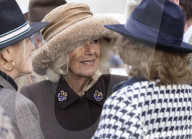 ROYALS - Queen Camilla on day two of the Cheltenham Festival