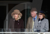 The Queen Attends the Cheltenham Festival in Cheltenham, UK.