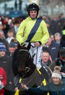 The Queen Attends the Cheltenham Festival