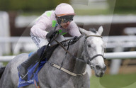 Cheltenham racing festival 2025 day one in Cheltenham, UK.