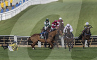 Cheltenham racing festival 2025 day one in Cheltenham, UK.