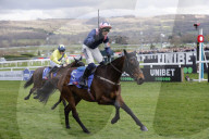 Cheltenham racing festival 2025 day one in Cheltenham, UK.