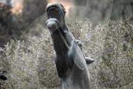 The horse symbol of Rai at the Rai Headquarters Viale Mazzini.