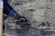 SES pyrotechnics conduct demining in Kharkiv region