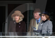 The Queen Attends the Cheltenham Festival