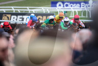 The Queen Attends the Cheltenham Festival