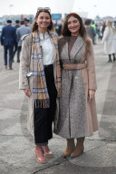Cheltenham Festival-Day Four
