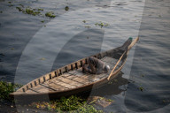 Daily Life In Dhaka