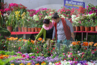 Floral Expo In Nepal