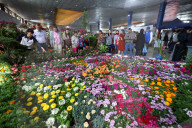 Floral Expo In Nepal