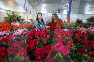 Floral Expo In Nepal