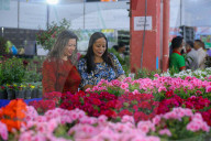 Floral Expo In Nepal